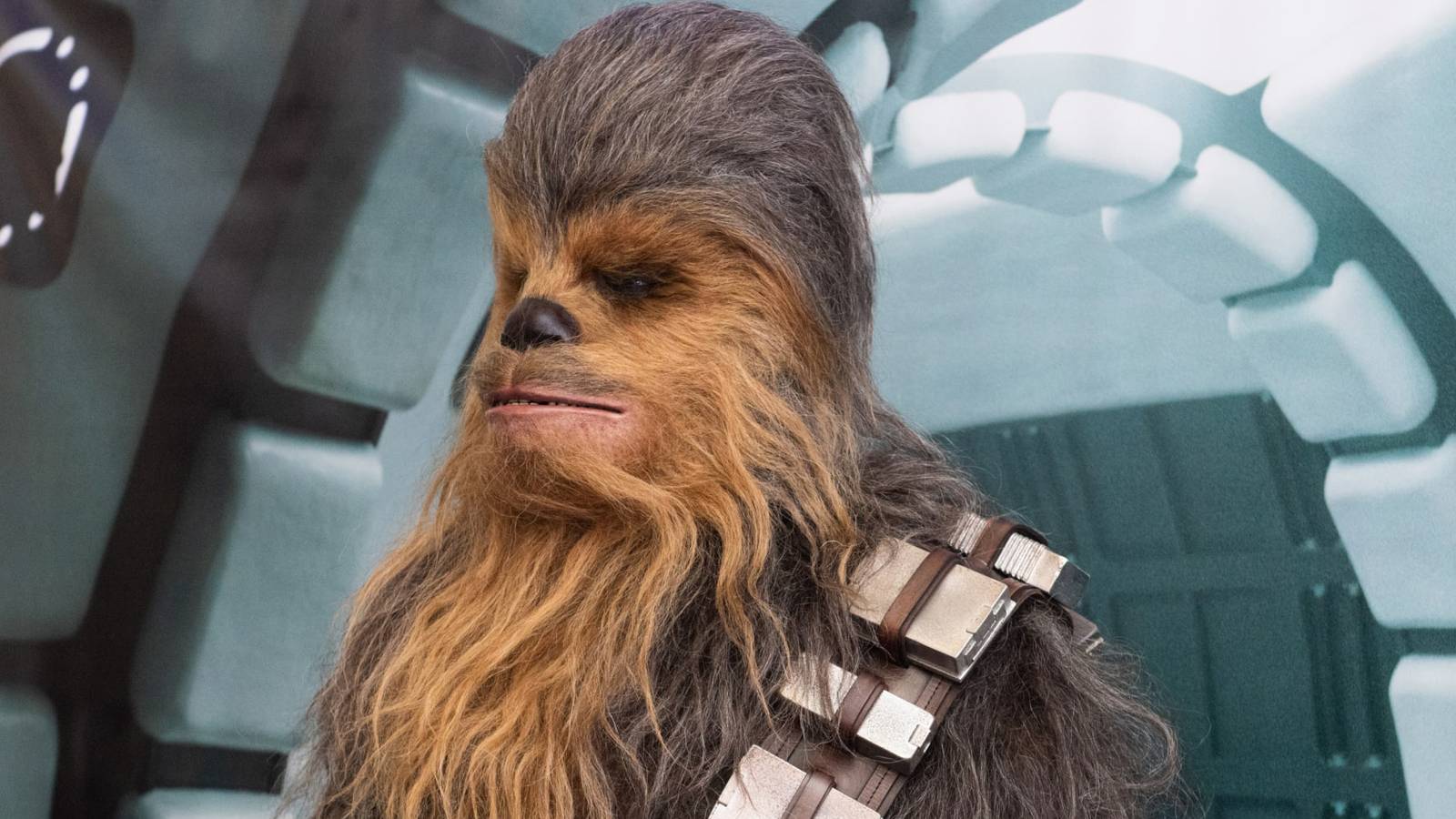 Chewbacca In Star Wars