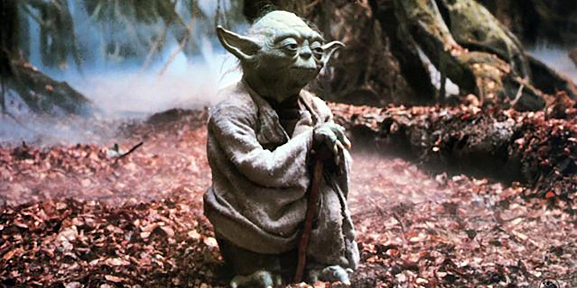 Yoda In The Empire Strikes Back