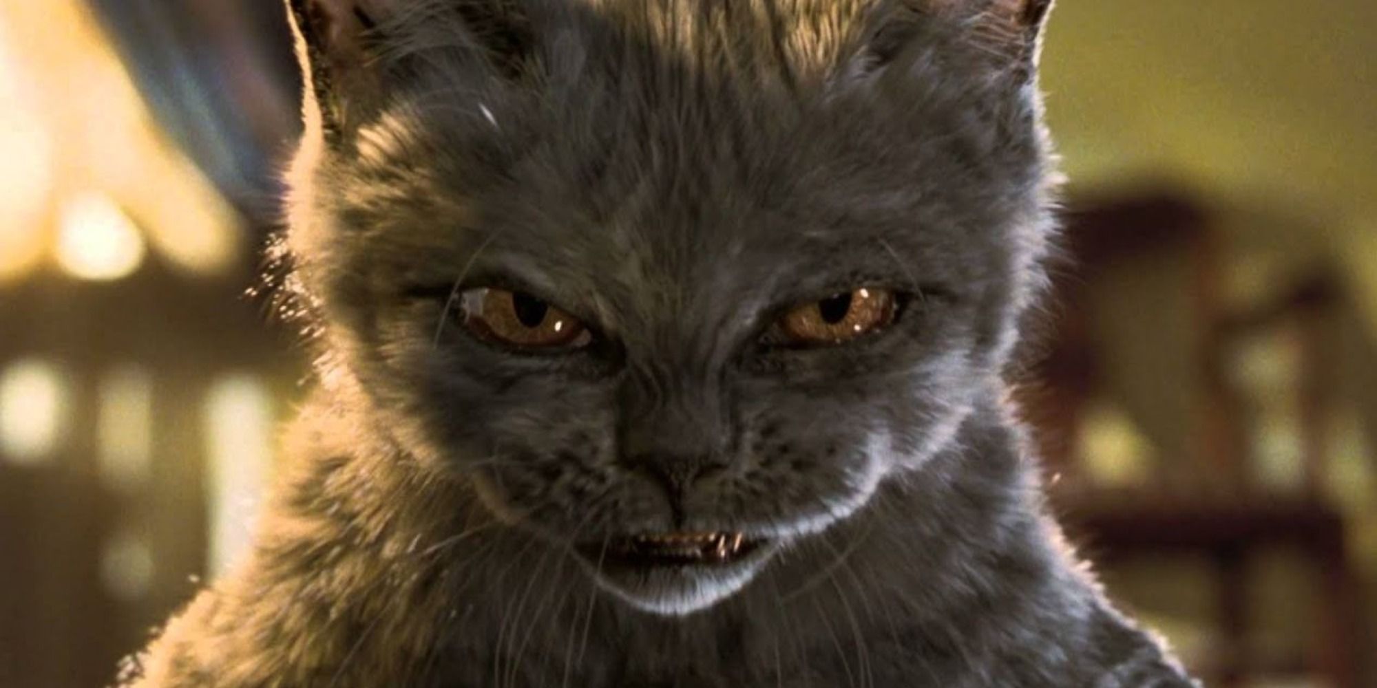 Yule Cat Facts, Lore & Trivia