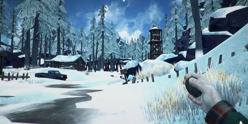 the long dark frozen tundra landscape