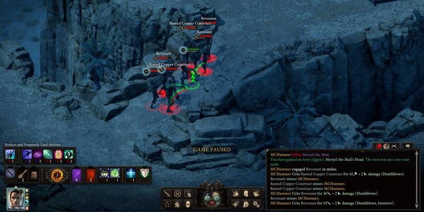 pillars of eternity 2 swashbuckler