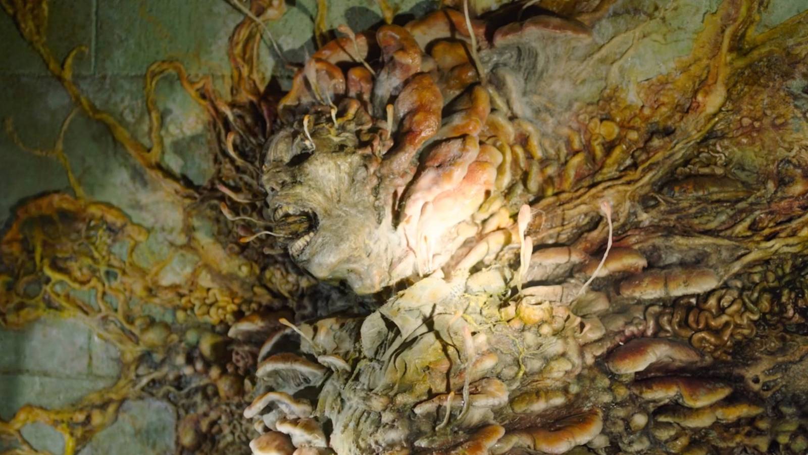 A Cordyceps monster in The Last of Us show