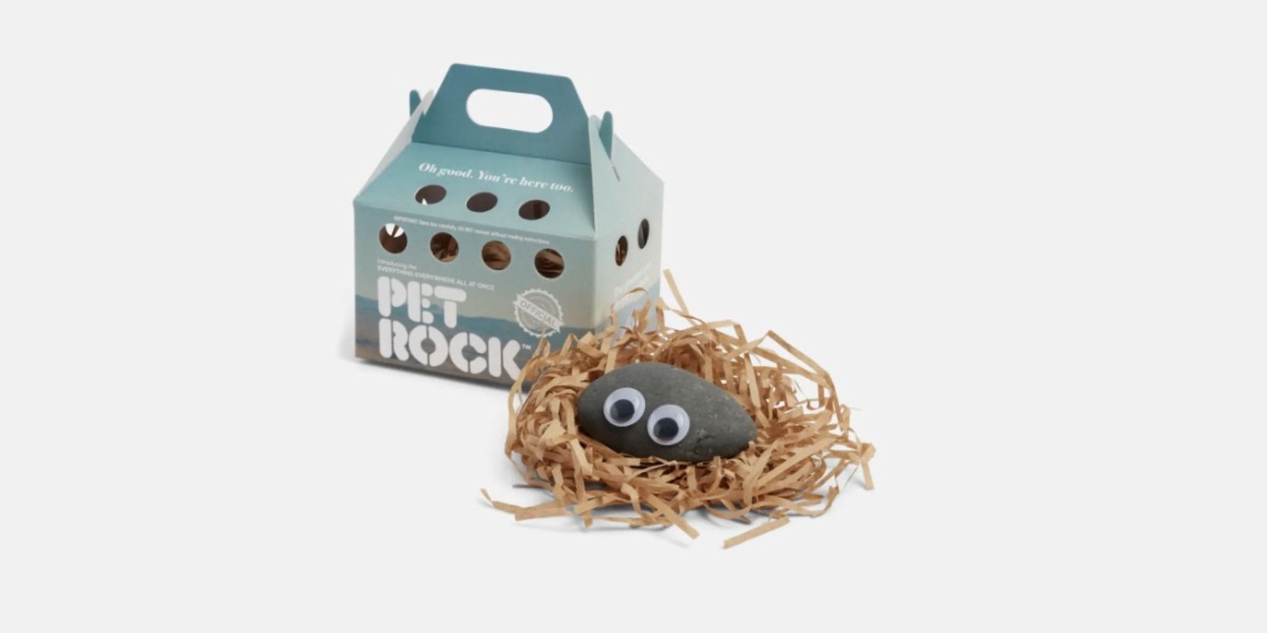 A24's Everything Everywhere All at Once Pet Rock collectible