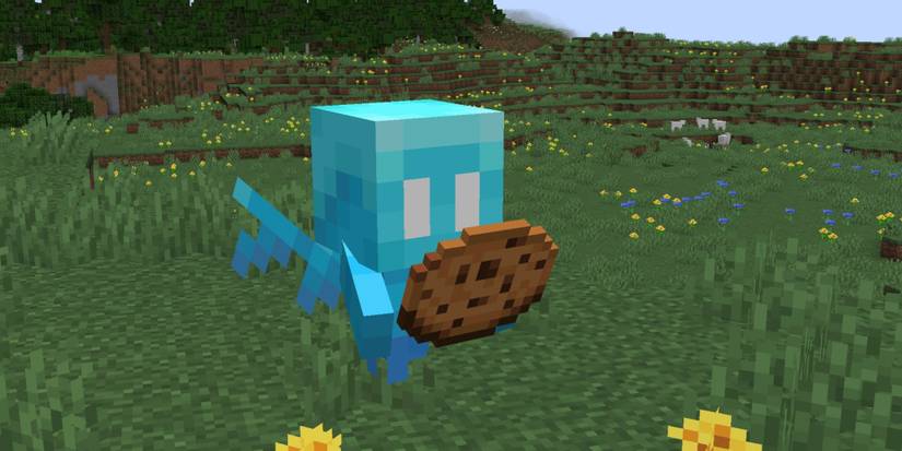 allay carrying a cookie