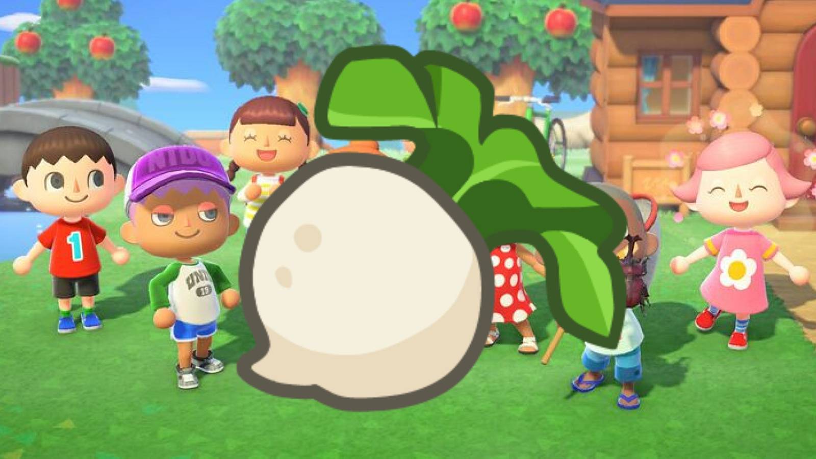 Animal Crossing: New Horizons Turnip