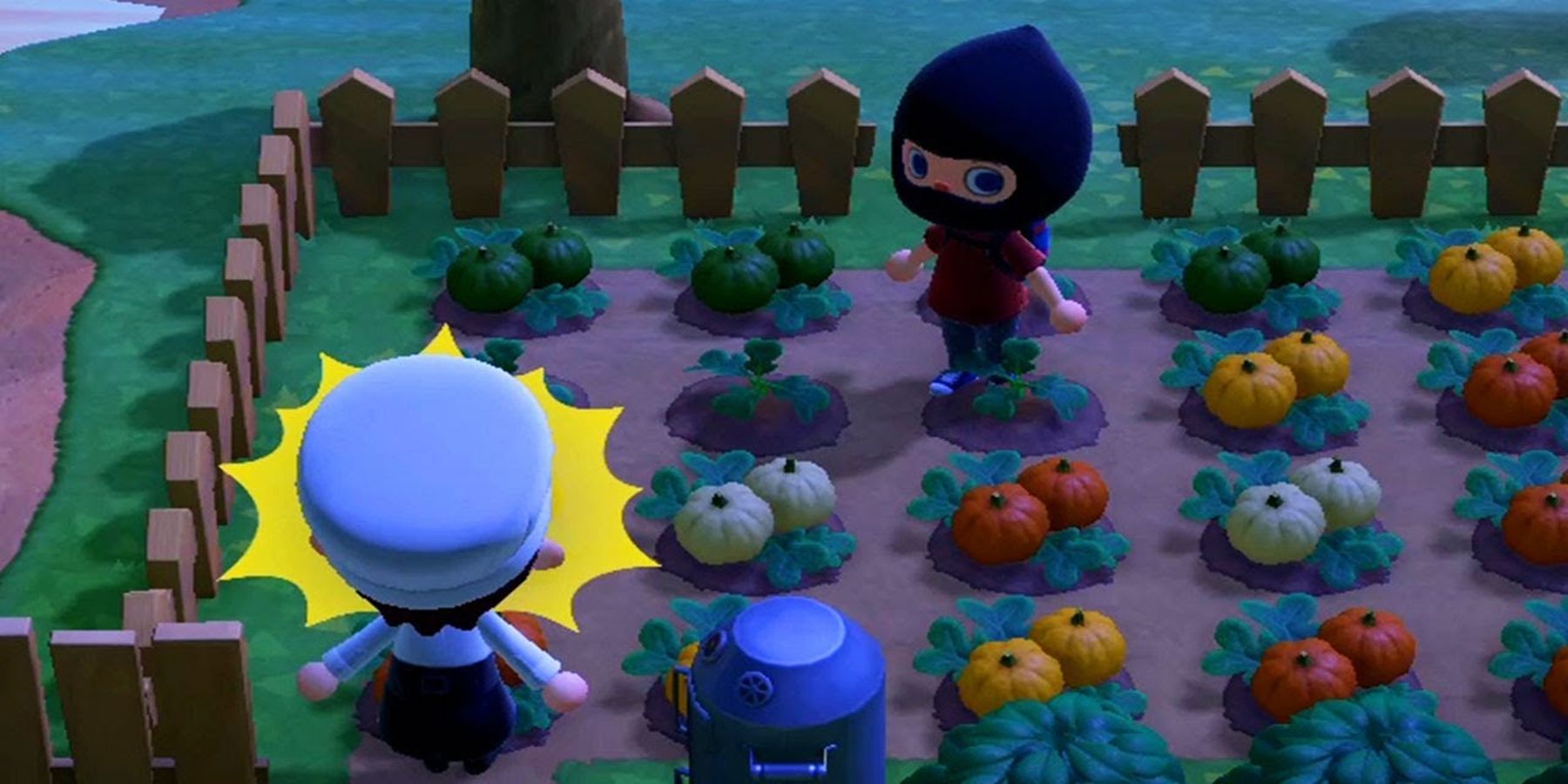 Animal Crossing pumpkin theft