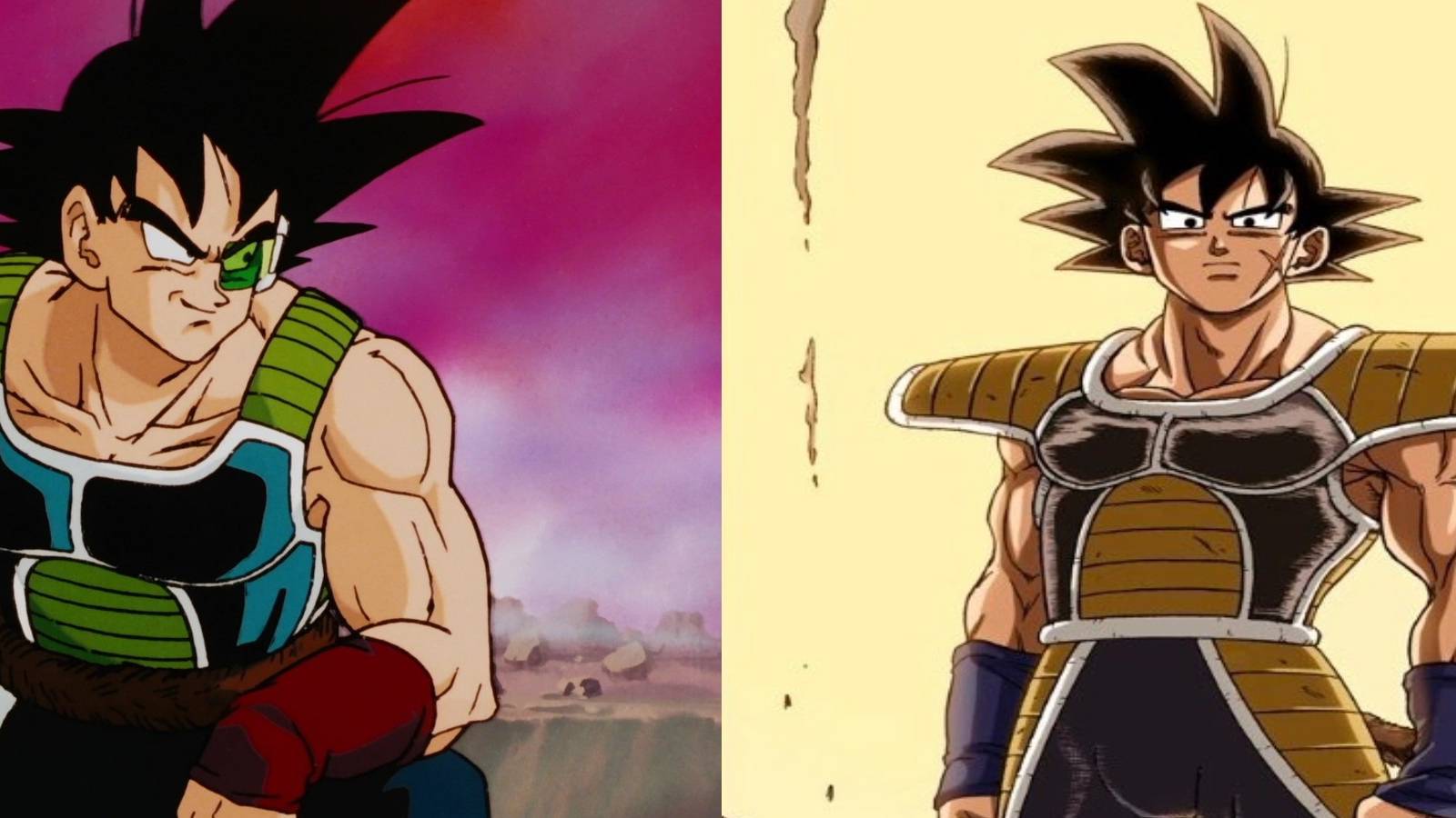 Bardock Dragon Ball Z and Dragon Ball Super