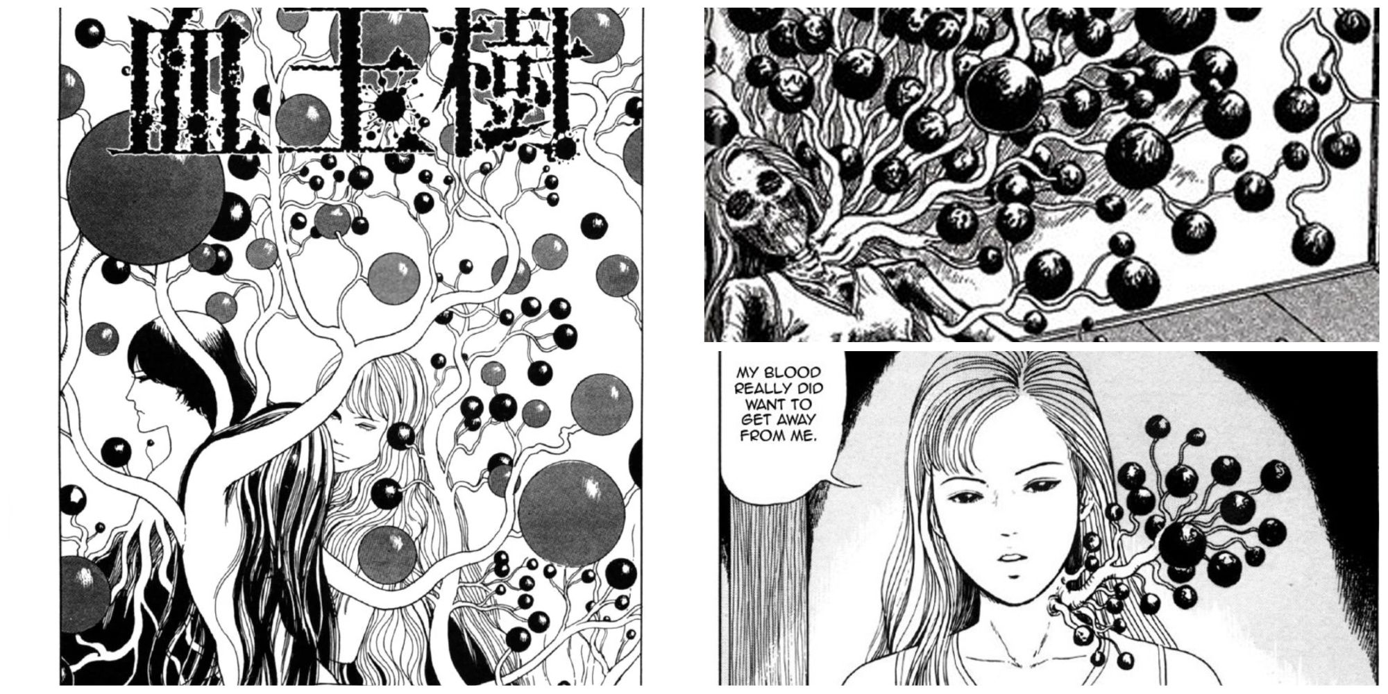 Manga panels from Blood Bubble Bushes by Junji Ito