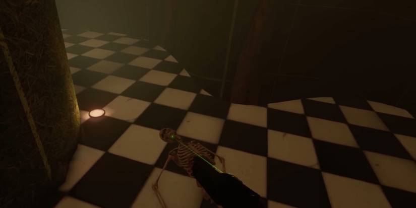 Player shoots a skeleton in the head