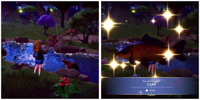 carp location in disney dreamlight valley