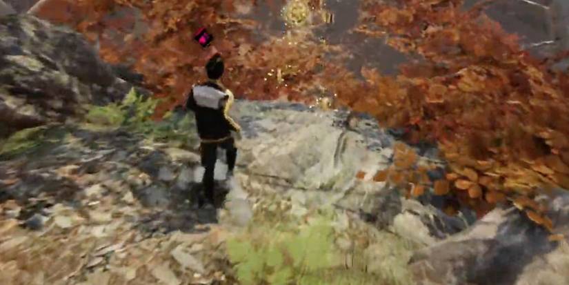 Player finds coins on the map