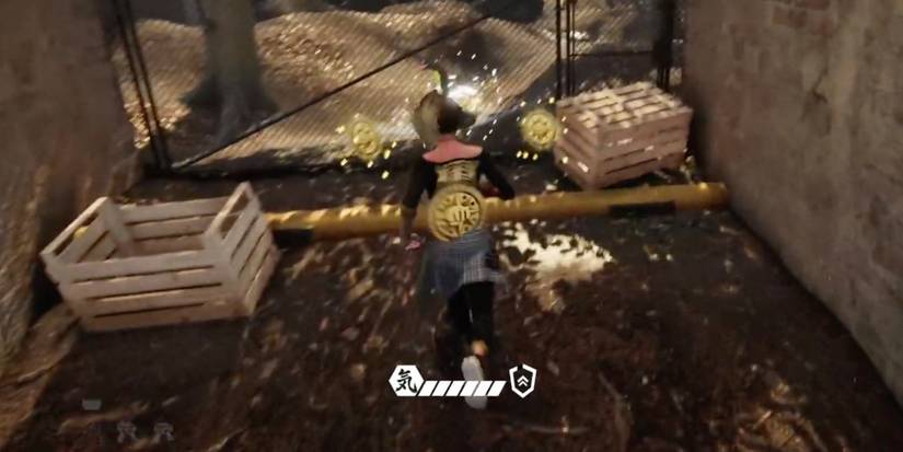 Player finds a collectible to receive 200 XP