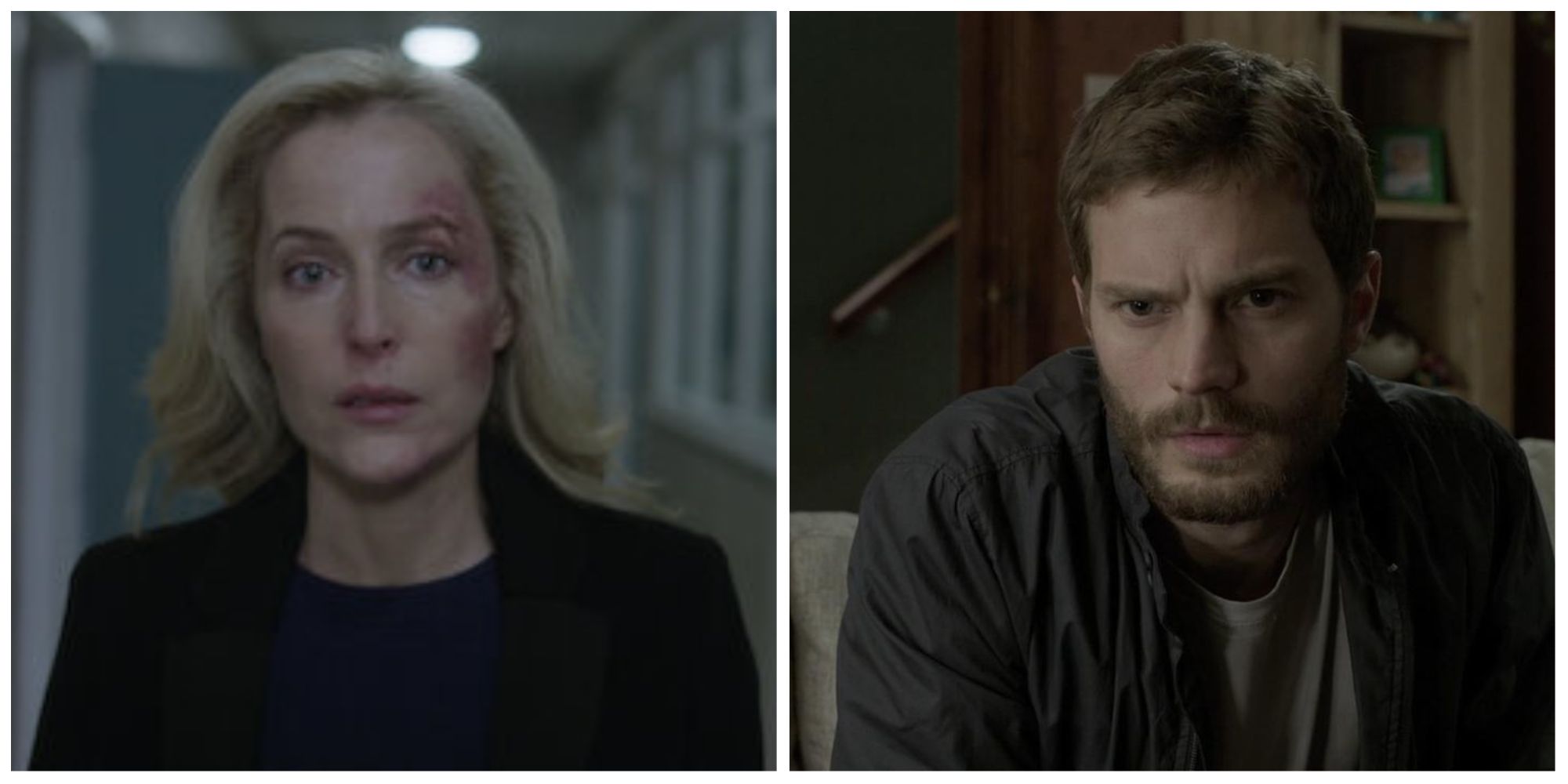 Gillian Anderson (left) and Jamie Dornan in The Fall 