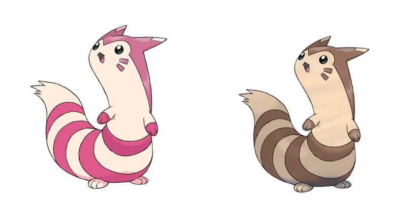 Shiny Furret