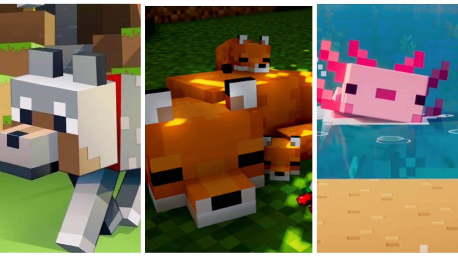 minecraft wolf, fox and axolotl