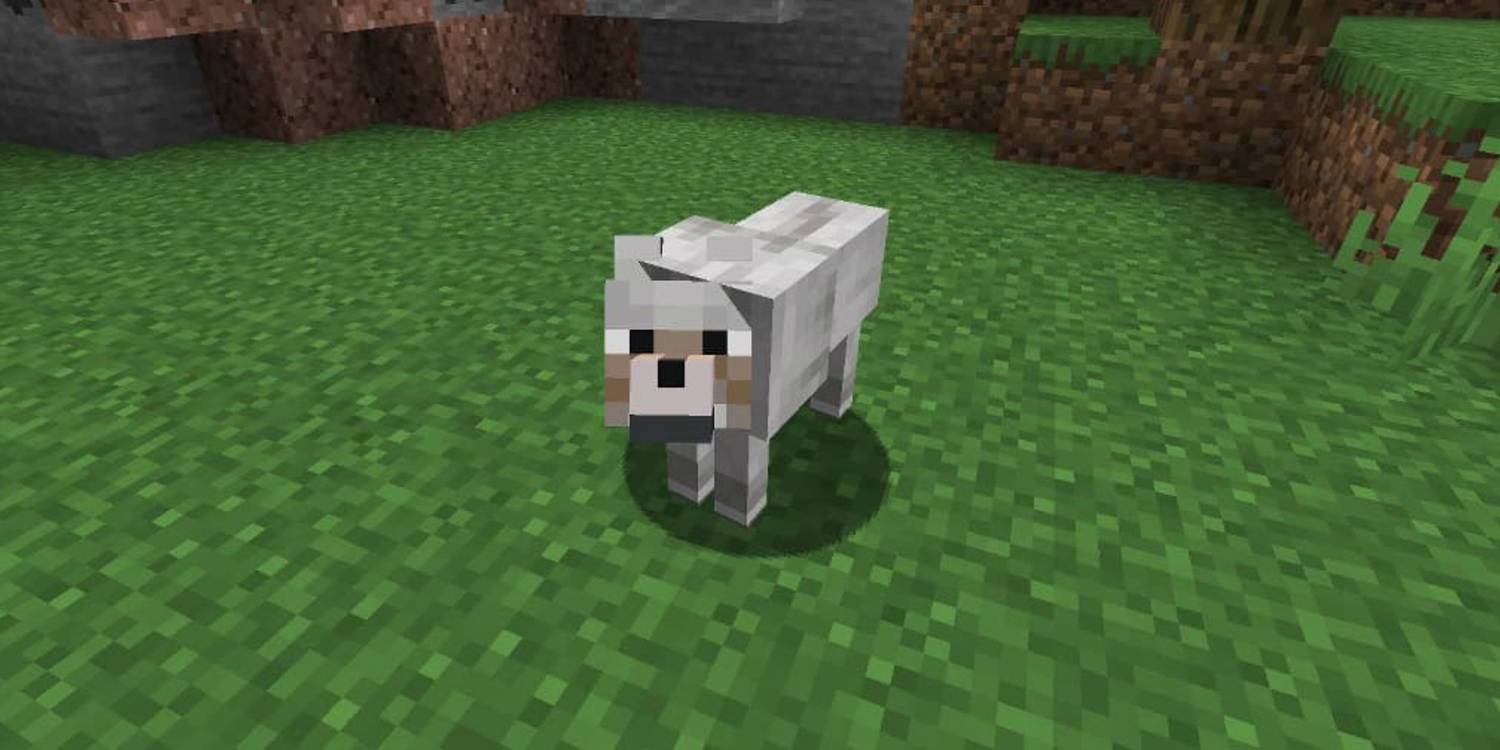 Wolves