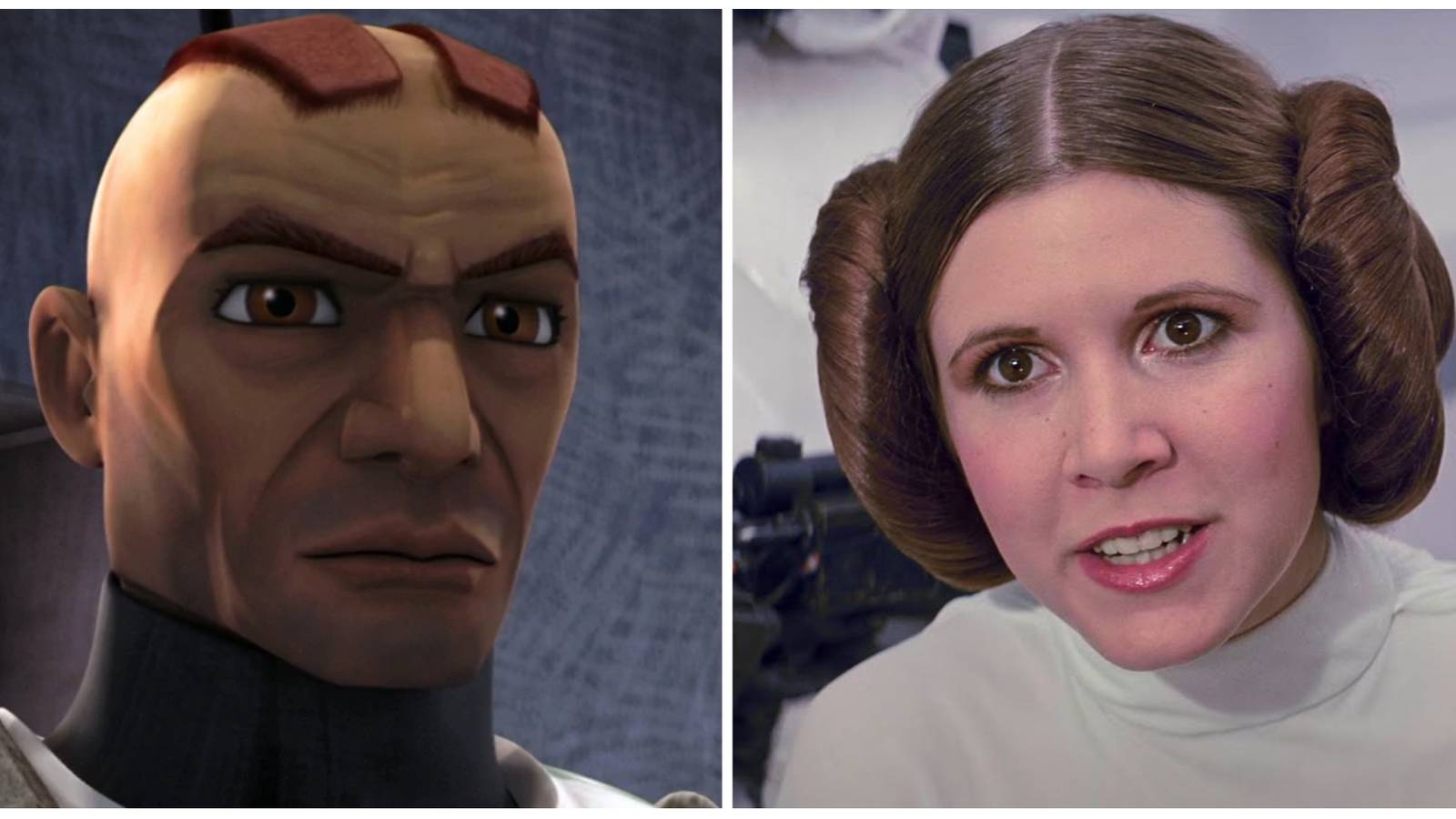 CC-1004 and Princess Leia in Star Wars