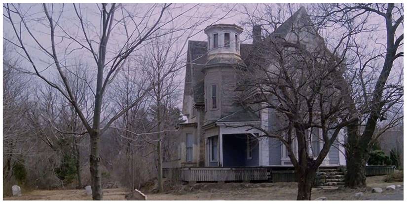 Collage Maker-26-Jan-2023-08.40-PM