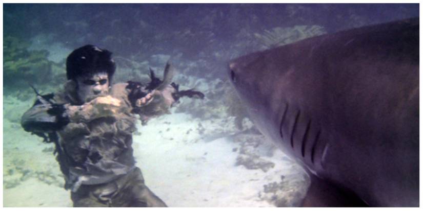 Collage Maker-26-Jan-2023-08.51-PM