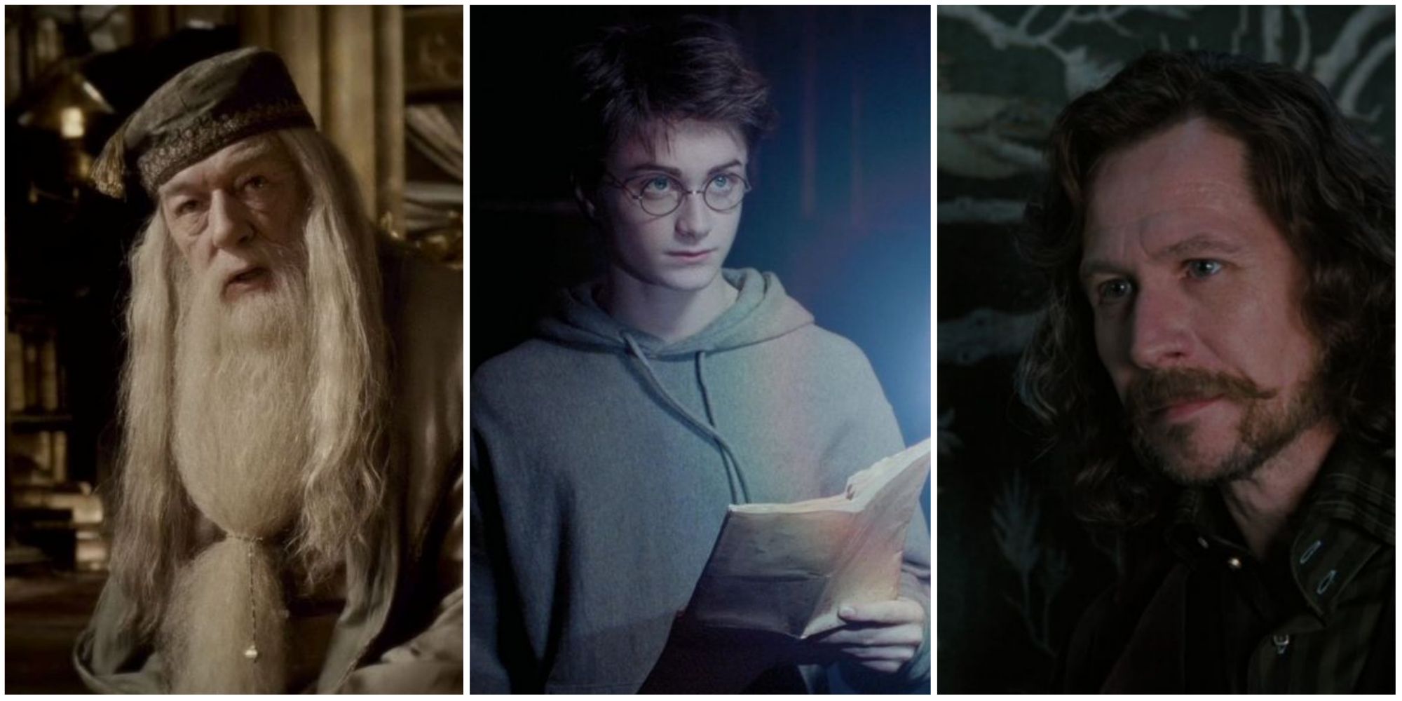 Albus Dumbledore, Harry Potter and Sirius Black in Harry Potter series