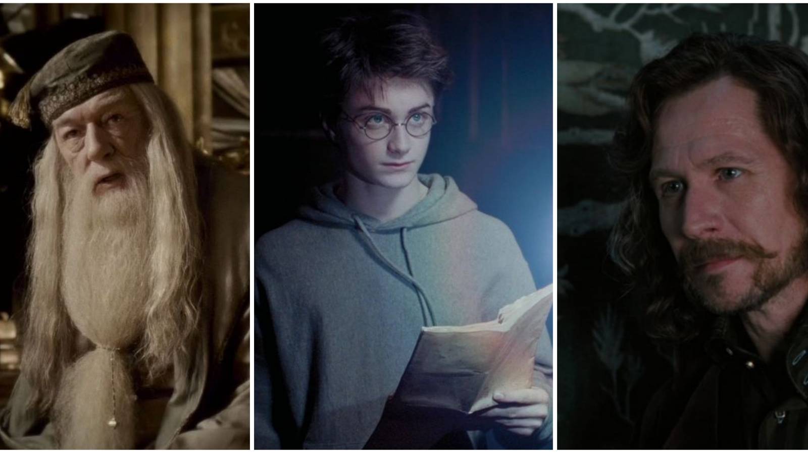 Albus Dumbledore, Harry Potter and Sirius Black in Harry Potter series