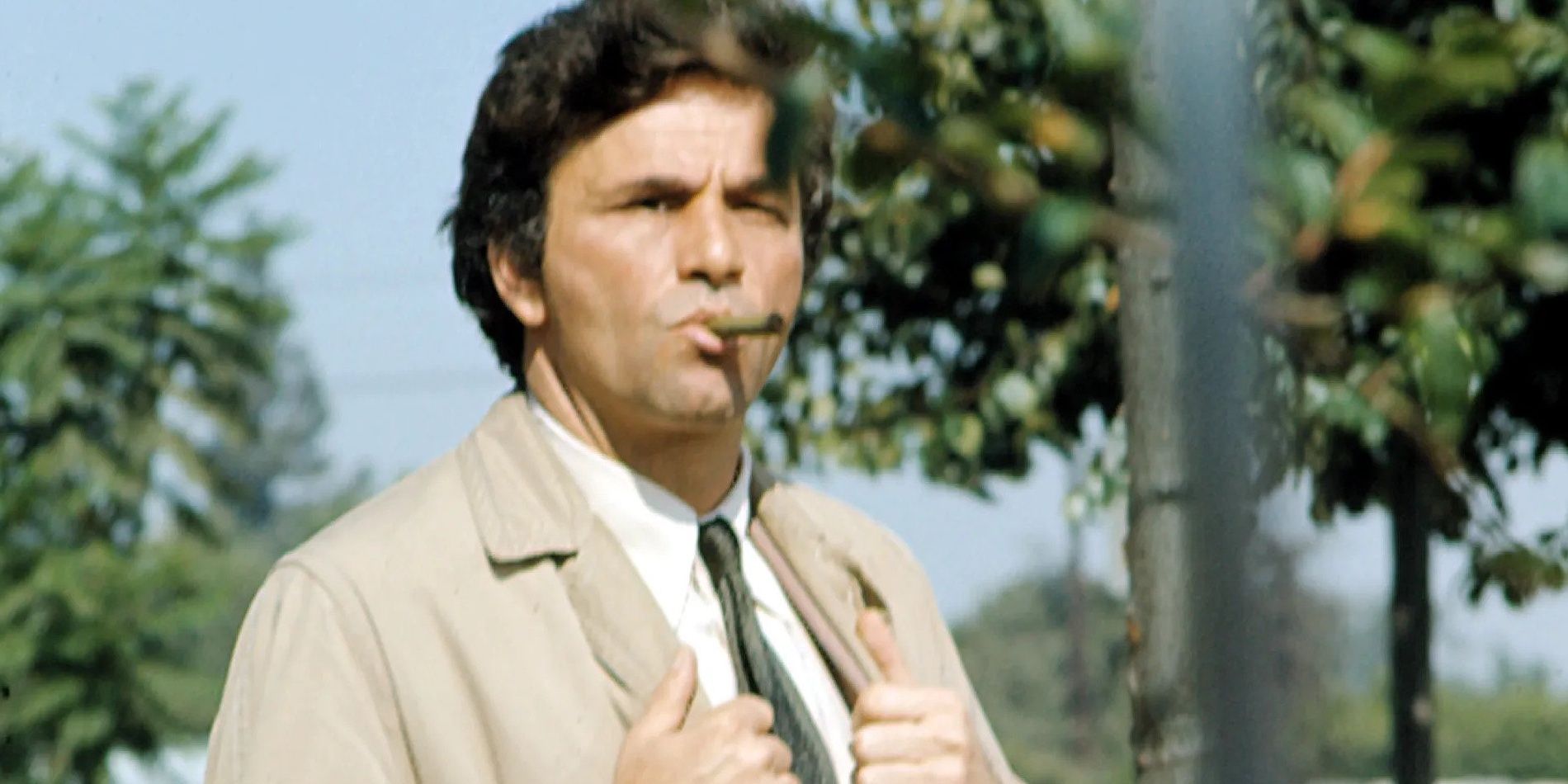 columbo-meme Cropped