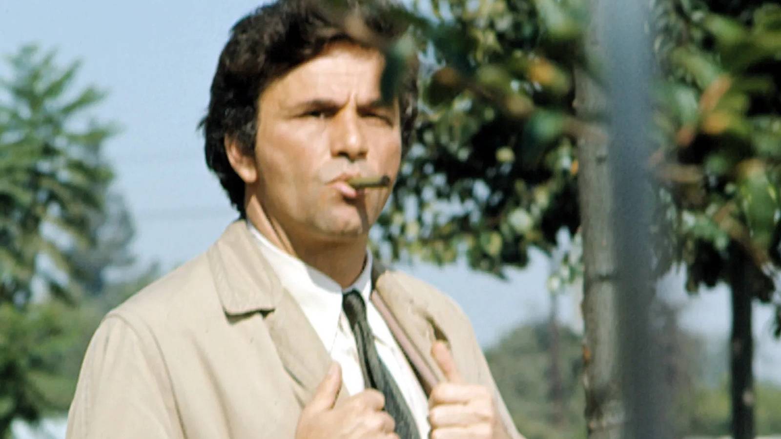 columbo-meme Cropped