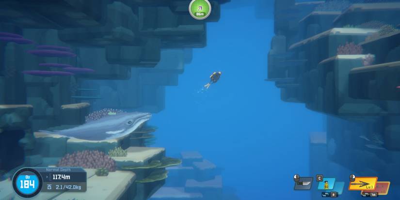 Dave-The-Diver-Baby-Whale-06