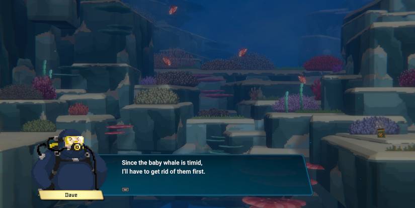 Dave-The-Diver-Baby-Whale-07