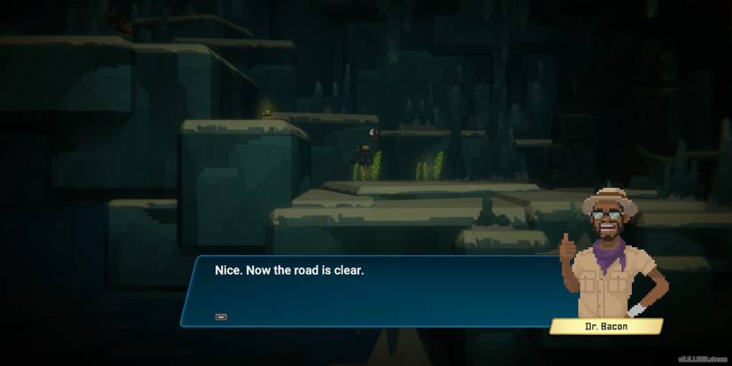 Dave-The-Diver-How-To-Destroy-Entryway-03