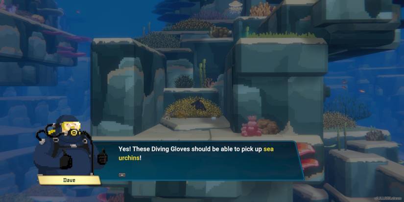 Dave-The-Diver-Sea-Urchins-02