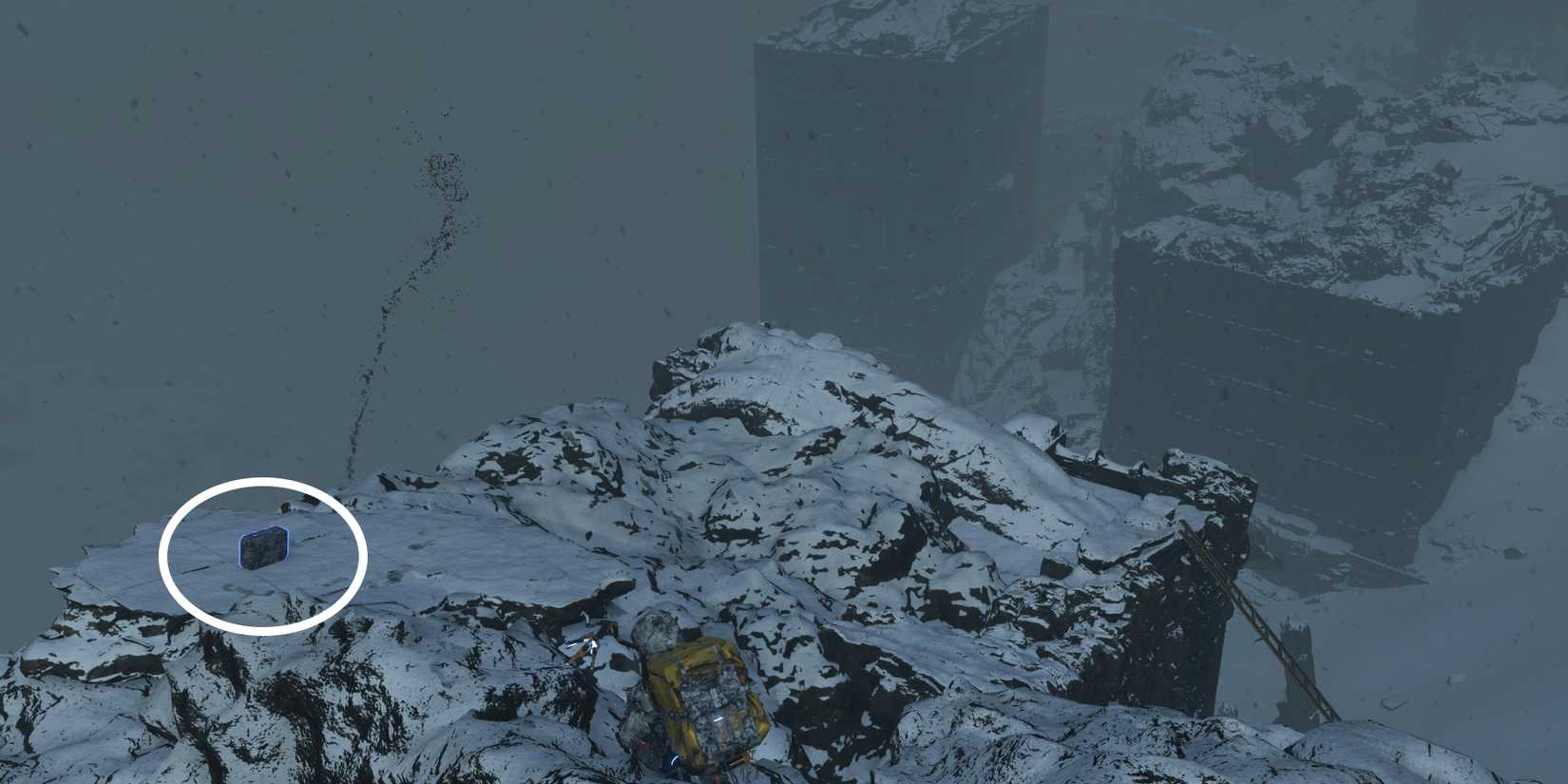 Death-Stranding-CP2077-Chip-5