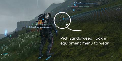 Death-Stranding-Sandalweed