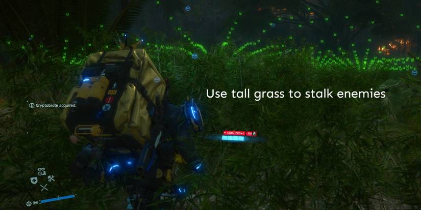 Death-Stranding-Vietnam-Tall-Grass