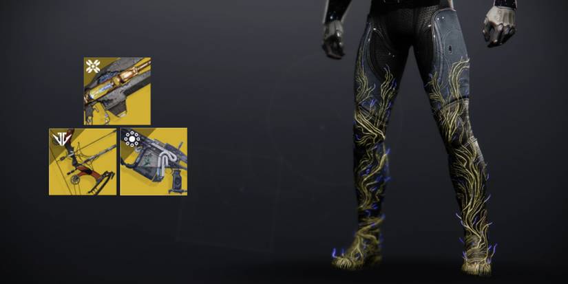 Destiny 2 Anti Champion Exotics S