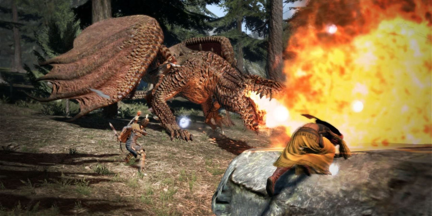 Does Dragon's Dogma 2 have online co-op?