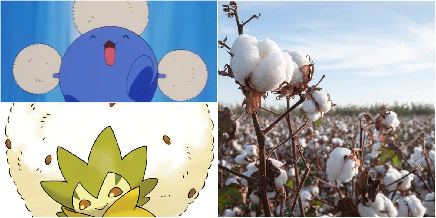 Jumpluff, Eldegoss, and a cotton plant