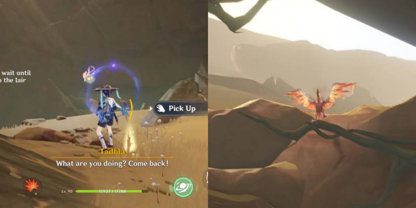 engraged-red-vulture-tadhla-the-falcon-genshin-impact