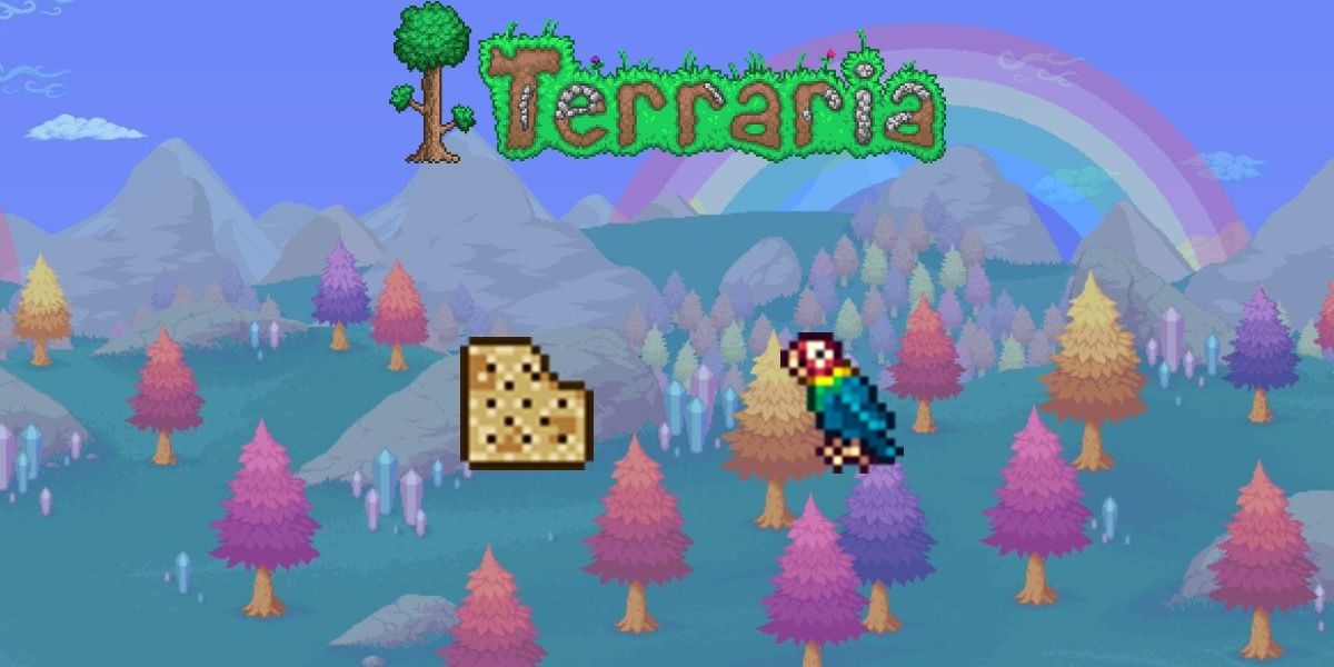 Terraria, Parrot Cracker