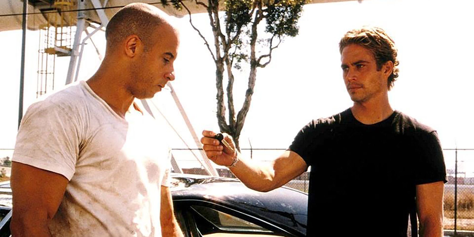 The Fast & The Furious 