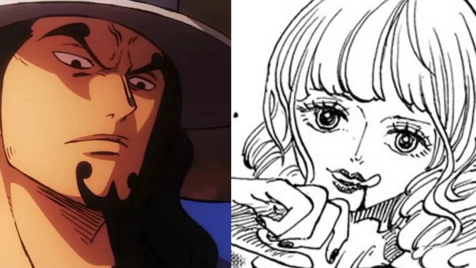 Featured New Member of Rocks Pirate Stussy Lucci