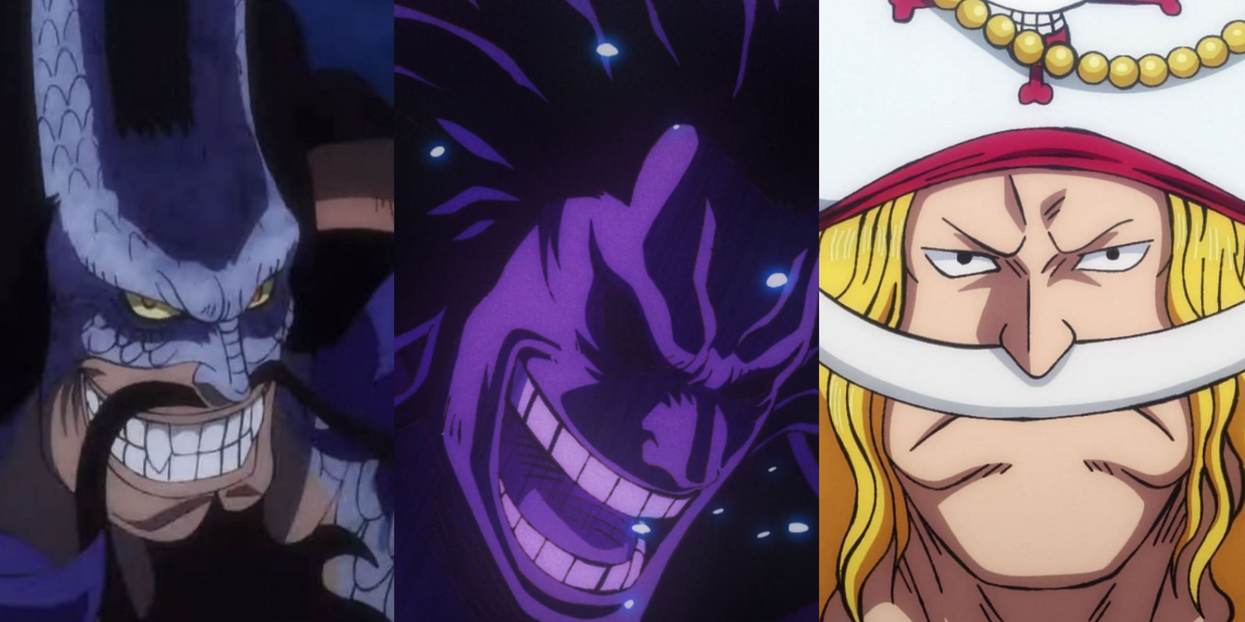 One Piece: All Members of The Rocks Pirates, Ranked