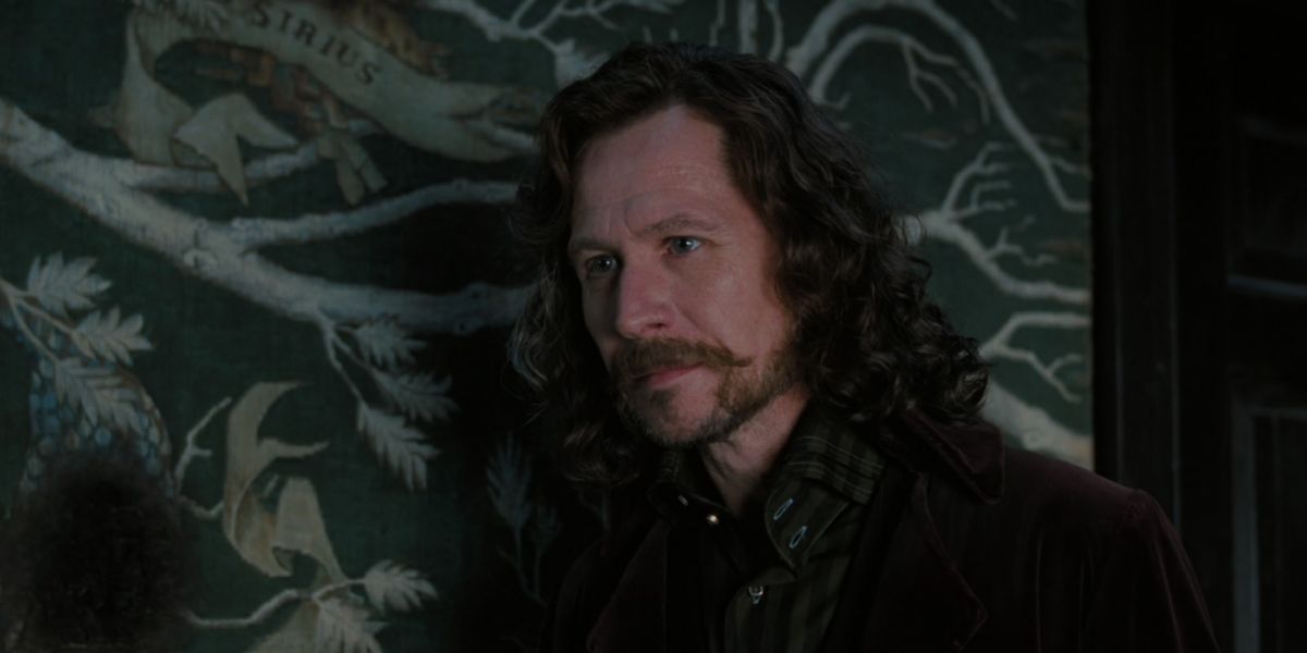 Sirius Black in Harry Potter and the Order of Phoenix with part of his family tree behind him