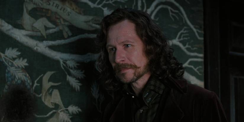 Sirius Black in Harry Potter and the Order of Phoenix with part of his family tree behind him