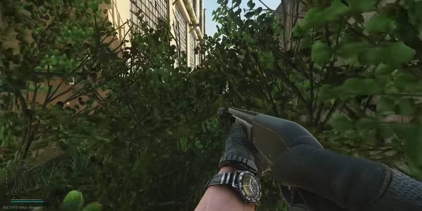 Escape From Tarkov Flechette Ammo Type