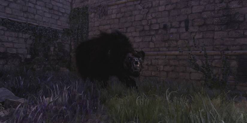 forspoken-chapter-2-walkthrough-stuck-07-chapalania