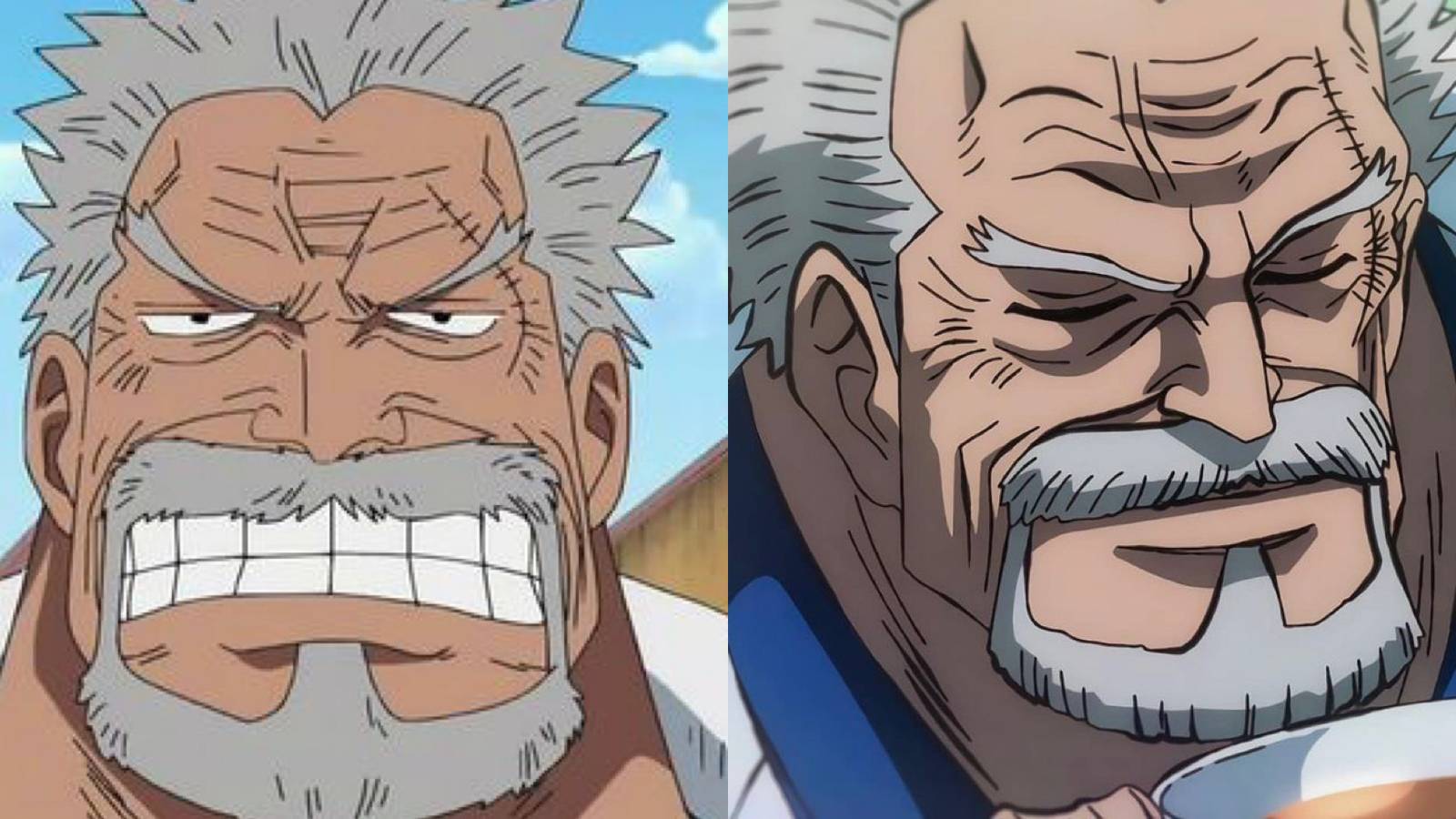garp one piece
