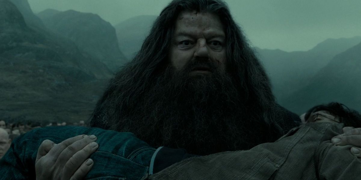 Rubeus Hagrid in Harry Potter and the Deathly Hallows part 2 carrying Harry Potter