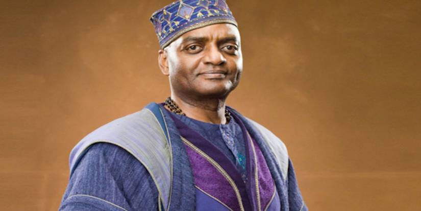 Kingsley Shacklebolt stands against a brown background in a purple robe and hat