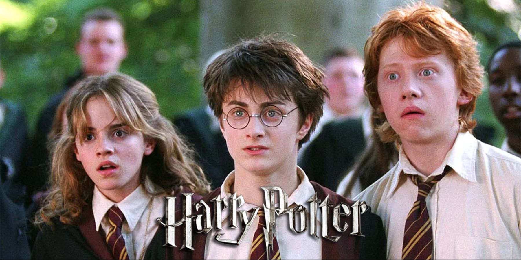Rumors, Harry Potter